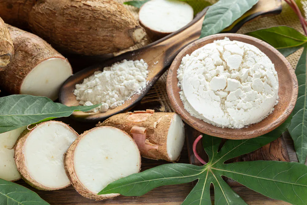 Pizza à la farine de Manioc